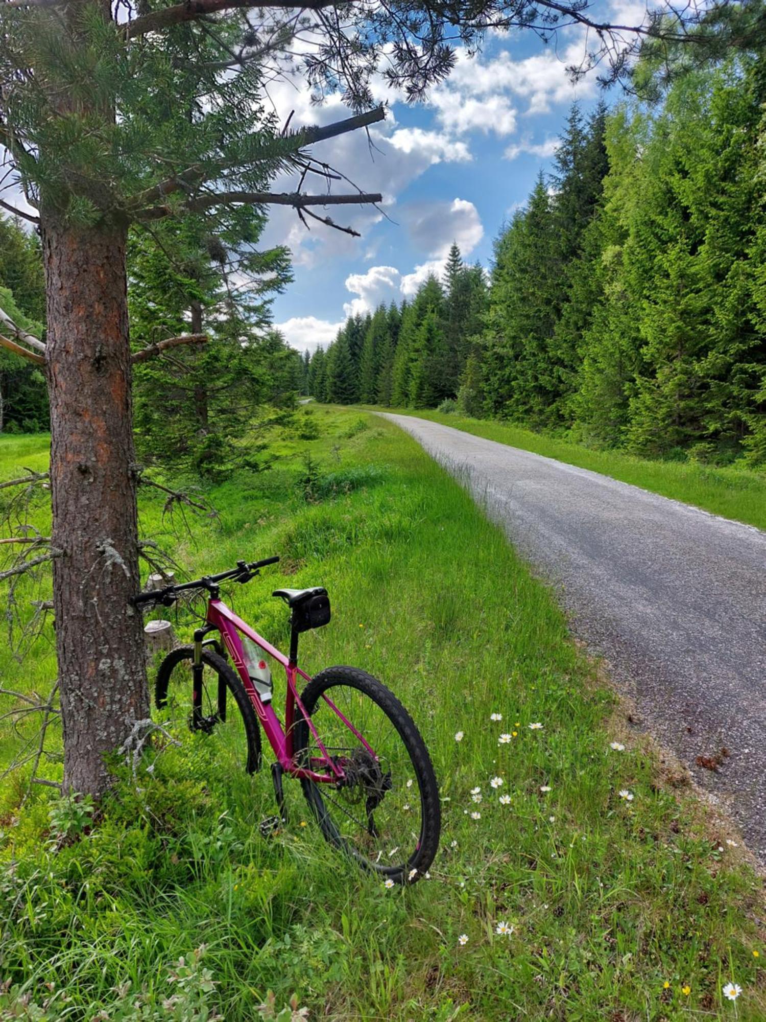 Wellness Chata Rosnatka Kvilda Eksteriør bilde